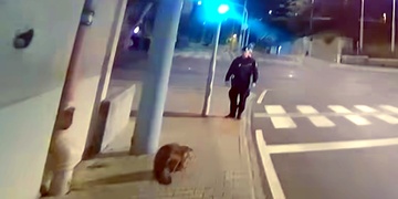 Bobr vyrazil na prohlídku Hlavního vlakového nádraží