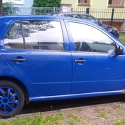 Plzeňskému boxerovi okradli babičku