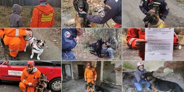 Záchrana vašeho života může přiběhnout i po čtyřech