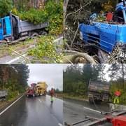 Tatra při havárii přerážela stromy