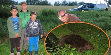 Uvězněn ve sklípku bez možnosti úniku