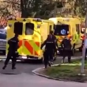Matka pobodala své děti, jedno je mrtvé