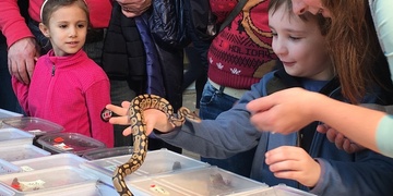 Desetiletá zlodějka hadů