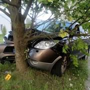 Muž v Plzni narazil s vozem do stromu