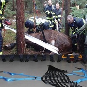 EDUvet pomáhá hasičům zachraňovat koně