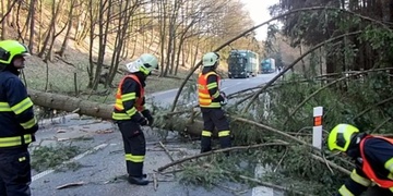 Hasiči zasahují u popadaných stromů