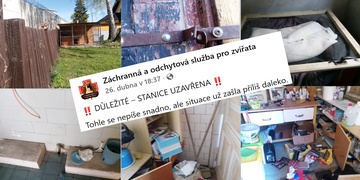 Neznámý pachatel opakovaně vykradl místo, kde zachraňují zvířecí životy