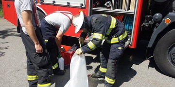 „Vrahové včeliček,“ komentovala zákrok rozhořčená čtenářka