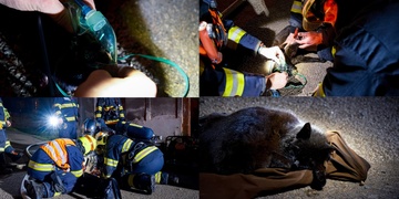 Uhasili oheň, zachránili králíka a resuscitovali kočku