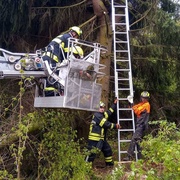 Kácený strom zaklínil muže v koruně