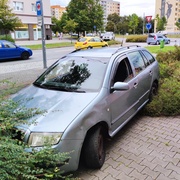 Srazil patnáctiletou dívku na přechodu