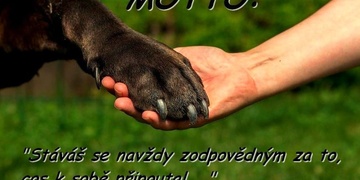 DĚKUJEME! Kvítko již má novou rodinu, dalších 120 psů a koček ale stále čeká