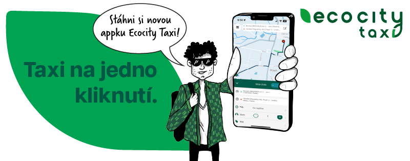 Ecocity taxi